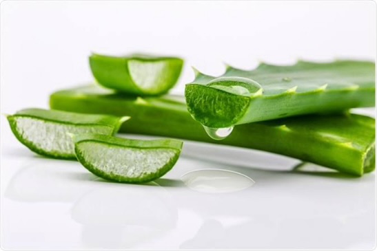 Unlock The Power Of Aloe Vera: A Natural Solution For Faster Hair Growth