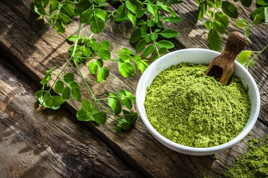 Exploring The Benefits And Safety Of Moringa For Healthier Hair